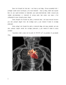 Infarct Miocardic - Pagina 5