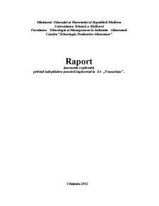 Raport privind îndeplinirea practicii inginerești la SA Franzeluța - Pagina 1