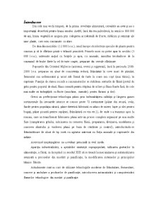 Raport privind îndeplinirea practicii inginerești la SA Franzeluța - Pagina 2