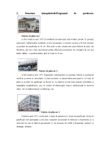 Raport privind îndeplinirea practicii inginerești la SA Franzeluța - Pagina 4
