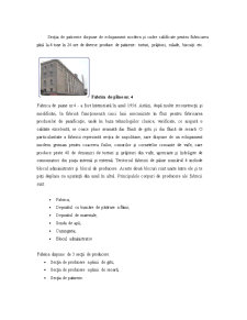 Raport privind îndeplinirea practicii inginerești la SA Franzeluța - Pagina 5