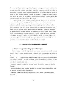 Prezentarea Companiei Lóreal - Pagina 4