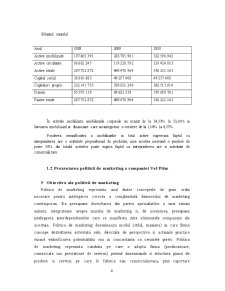Politica promoțională a companiei Vel Pitar pe piața românească - Pagina 4