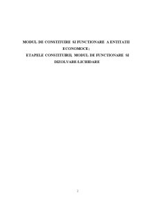 Modul de constituire și funcționare a entității economice - Pagina 2