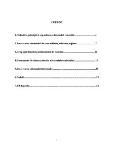 Modul de constituire și funcționare a entității economice - Pagina 3