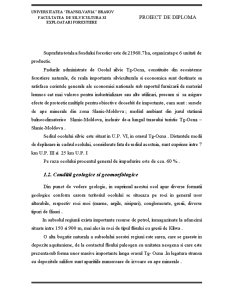 Produse Forestiere - Pagina 4