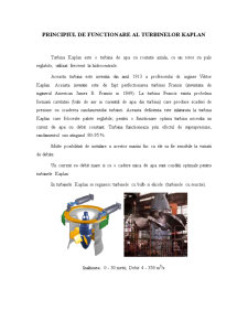Principiul de funcționare al turbinelor Kaplan - Pagina 1