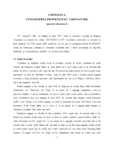Analiza SC Varuna's SRL - Pagina 3