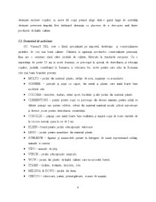 Analiza SC Varuna's SRL - Pagina 4