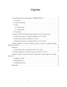 Analiza surselor de finanțare ale întreprinderii firma - Antibiotice SA Iași - Pagina 2