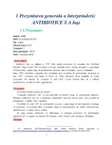 Analiza surselor de finanțare ale întreprinderii firma - Antibiotice SA Iași - Pagina 3