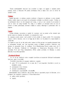 Analiza surselor de finanțare ale întreprinderii firma - Antibiotice SA Iași - Pagina 4