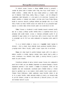 Monografia Comunei Comarna - Pagina 3