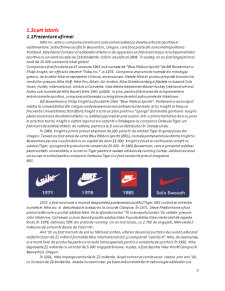 Plan Afaceri Nike - Pagina 3