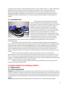 Plan Afaceri Nike - Pagina 4