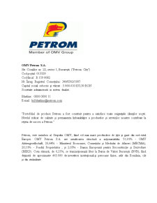 Analiza Surselor de Finanțare a Companiei OMV Petrom - Pagina 2
