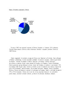 Analiza Surselor de Finanțare a Companiei OMV Petrom - Pagina 3