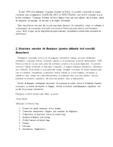 Analiza Surselor de Finanțare a Companiei OMV Petrom - Pagina 4