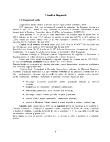 Analiza unui proiect de investiții la compania Antibiotice Iași SA - Pagina 5
