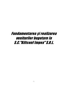 Fundamentarea și Realizarea Veniturilor Bugetare la SC Kiltconf Impex SRL - Pagina 2