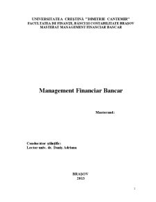 Management Financiar Bancar - Pagina 2