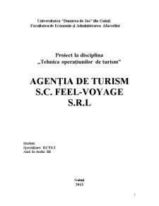 Înființarea unei agenții de turism - Pagina 1