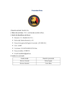 Auditul sistemului informatic la firma SC Brațul de Fier SRL - Pagina 3
