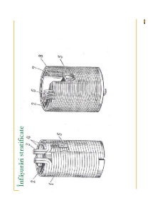 Masini Electrice1 - Pagina 188