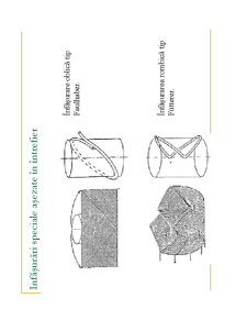 Masini Electrice1 - Pagina 251