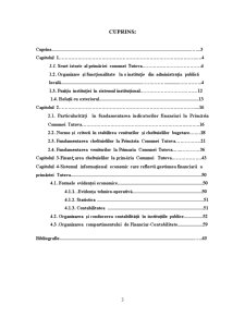 Fundamentarea și finanțarea cheltuielilor bugetare la o instituție din administrația publică cu referire la Primăria Comunei Tutova - Pagina 3