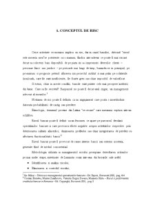 Gestionarea Riscului Bancar - Pagina 3