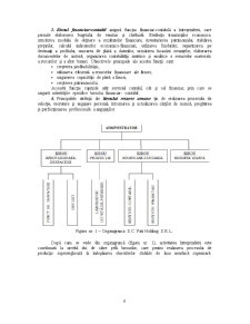 Studiul cadrului organizatoric și normativ al întreprinderii SC Pati Holding SRL - Pagina 5