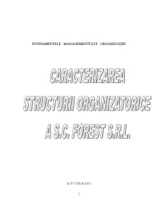 Caracterizarea structurii organizatorice la SC Forest SRL Baia Mare - Pagina 1
