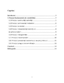 Studiu Privind Analiza Principiilor Contabile General Acceptate în România - Pagina 2