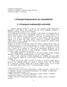Studiu Privind Analiza Principiilor Contabile General Acceptate în România - Pagina 5