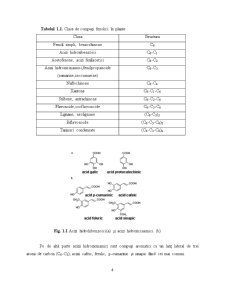 Metode spectrometrice de determinare a compușilor fenolici din plante - Pagina 4