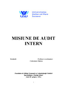 Misiune de Audit Intern - Pagina 1