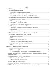 Diagnostic financiar contabil al SC Fabrica de Scule Râșnov SA - Pagina 1
