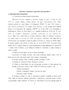 Diagnostic financiar contabil al SC Fabrica de Scule Râșnov SA - Pagina 3