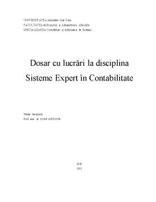 Sisteme Expert în Contabilitate - Pagina 1