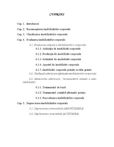 IAS 16 - Imobilizări Corporale - Pagina 2