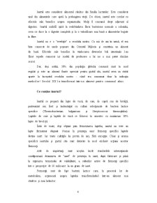 Analiza Iaurtului - Pagina 4