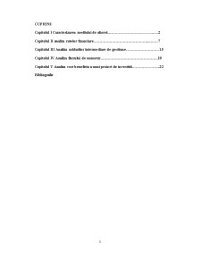 Analiza financiară - studiu de caz SC Argus SA - Pagina 2
