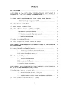 Analiza situației financiare și patrimoniale la SC Agricola Internațional SA Bacău - Pagina 1