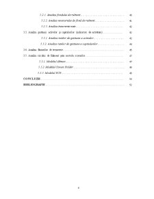 Analiza situației financiare și patrimoniale la SC Agricola Internațional SA Bacău - Pagina 2