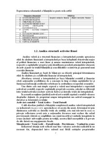 Analiza situației financiare și patrimoniale la SC Agricola Internațional SA Bacău - Pagina 5
