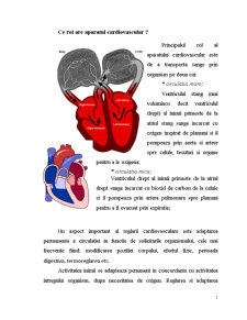 Reglarea activității sistemului cardiovascular - Pagina 2