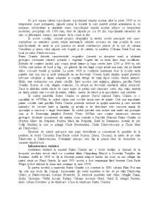 Unități turistice geografice - zona turistică Piatra Craiului - Pagina 3