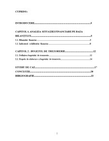 Balanță de trezorerie - elaborarea bugetului de trezorerie - Pagina 2