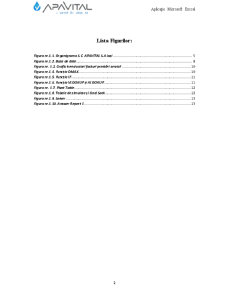 Informatică pentru afaceri - aplicație Microsoft Excel - Pagina 3